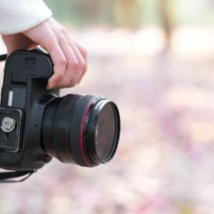 Tekijänoikeuksien luovutus